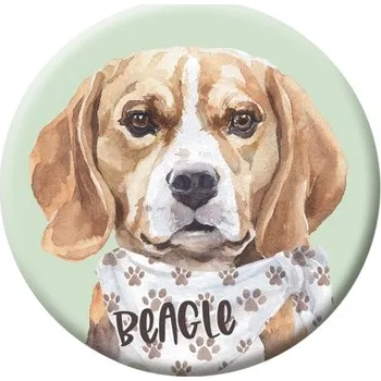 Button (placka) se špendlíkem 44 mm - Beagle