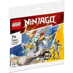 LEGO Ninjago 30649 Ledový drak