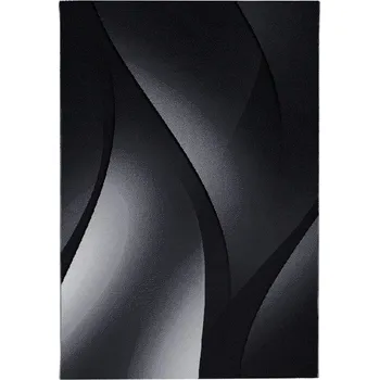 Koberec Hans Home Kusový koberec Plus 8010 black - 120x170