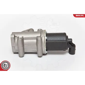 Ventil palivového systému AGR-Ventil ESEN SKV 14SKV076