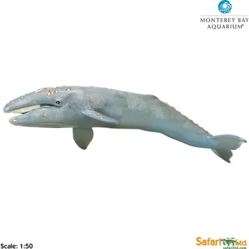 Figurka Plejtvákovec šedý