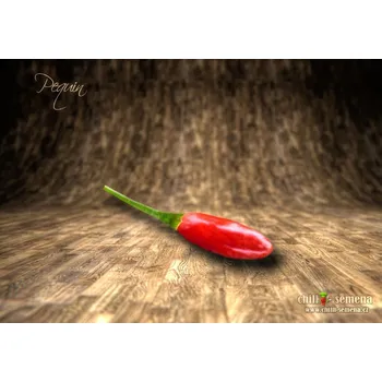Semeno chilli-semena Pequin