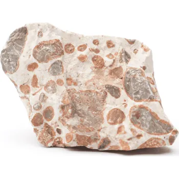 Milujeme Kameny Leopardit (Onkolit) - surový kámen 195133