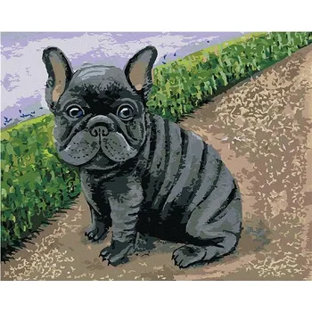 Zuty M10-050-040-604522 Francouzský buldoček s rámem