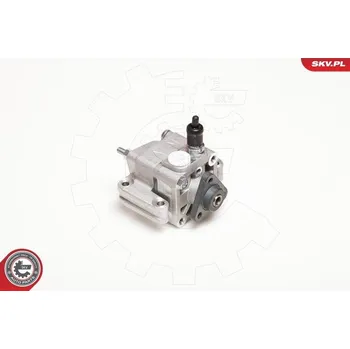 Posilovač řízení Hydraulické čerpadlo, řízení ESEN SKV 10SKV109