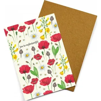 Blahopřání jen to nejkrásnější - ePipí 0000527