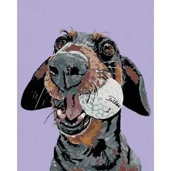 Hračka Diamondi Diamantové malování - PES S GOLFOVÝM MÍČKEM Rozměr: 40x50 cm, Rámování: bez rámu a bez vypnutí plátna