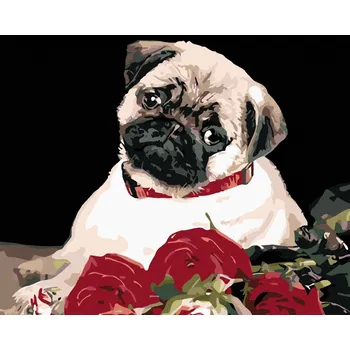 Hračka Diamondi Diamantové malování - MOPS Rozměr: 40x50 cm, Rámování: bez rámu a bez vypnutí plátna