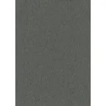 DIMEX | Vliesová tapeta na zeď WPE-901887 | 0,53 x 10,05 m | černá, zlatá + Černá, zlatá vliesová tapeta na stěnu WPE901887 v rozměru 0,53 x 10,05 m