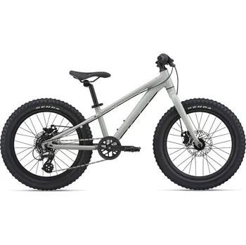 Sport Giant STP 20" 2022 One Size