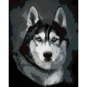 Diamondi Diamantové malování - HUSKY PORTRÉT Rozměr: 40x50 cm, Rámování: vypnuté plátno na rám