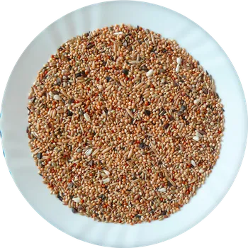 Krmivo pro ptáka Avicentra s.r.o. Neoféma professionál 5 kg