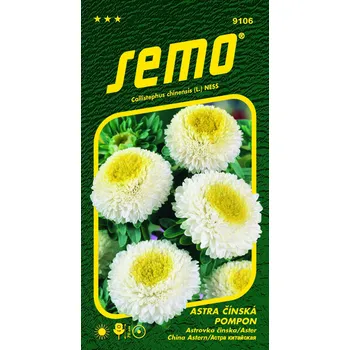 Semeno Astra čínská - Pompon white and yellow 0,5g