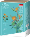 Sluban Flowers M38-B1121C Strelicie…