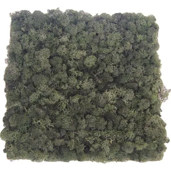 umělá květina Nástěnný panel Islandský stabilizovaný mech 30*30 cm tmavě trávově zelená
