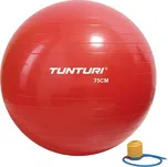 Tunturi Gymnastický míč s pumpičkou 75…