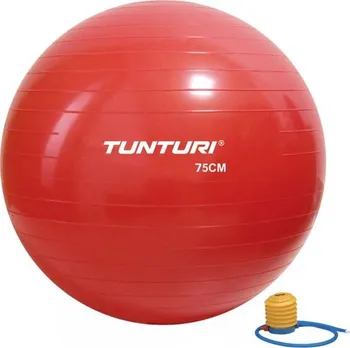 Gymnastický míč Tunturi Gymnastický míč s pumpičkou 75 cm