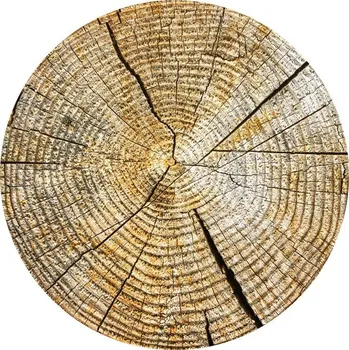 Jedlá dekorace na dort Letokruhy - pařez jedlý papír 20 cm