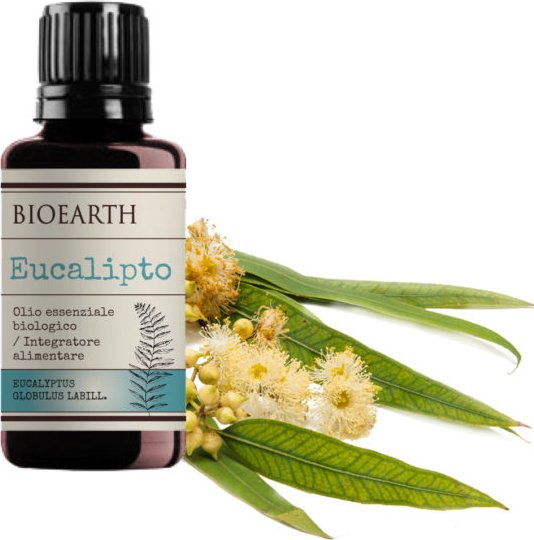 BIOEARTH Esenciální olej Eukalyptus BIO 10ml