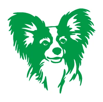 Polep vozidla Pes 190 pravá Papillon (12 - zelená) SAMOLEPKA NA AUTO, NÁLEPKA, FÓLIE, POLEP, TUNING, VLASTNÍ TEXT, TISK, AUTOSAMOLEPKY.cz, POLEPY, OBRÁZEK, LOGO, 3D STICKERS