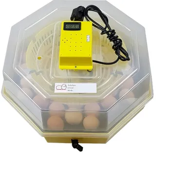 Umělá líheň Ipee Amiral Trading Cleo 5 DTH