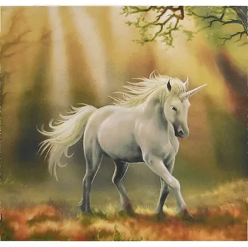 Povlak na dekorativní polštářek Apex® produktová řada 3D 3D povláček na polštářek Apex - Jednorožec - Povláček na polštářek