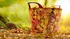 Lienbacher Flexi plastový koš s dekorem podzimu 30 l