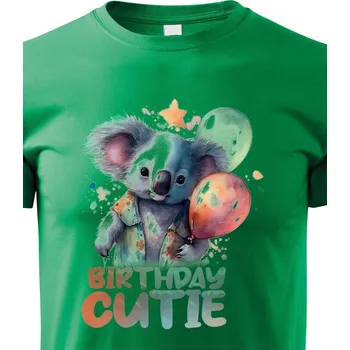 Chlapecké tričko Dětské tričko Birthday cutie, Barva Zelená, Velikost 110 cm/4 roky, Canvas Dětské tričko Bezvatriko.cz 2170