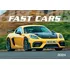 Kalendář SPEKTRUM GRAFIK Nástěnný kalendář Fast cars 2024