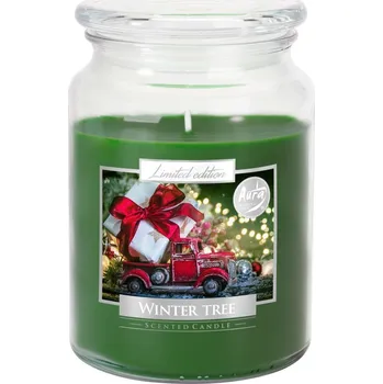 Bispol Aura Maxi vonná svíčka ve skle 500 g