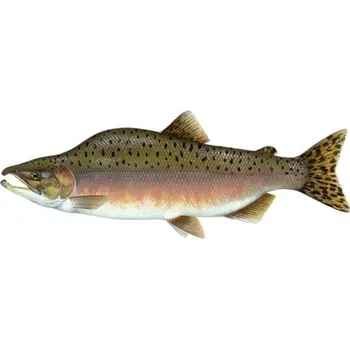 Polštář Polštář BeCare Losos 62cm