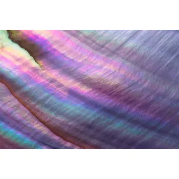 Plakát Plakát, Obraz - Colorful Pearl Shell Macrophotography, MirageC