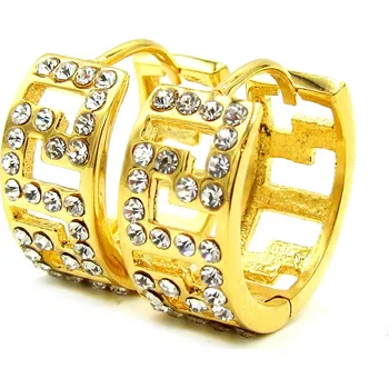 Náušnice Steel Jewelry Náušnice KRUHY GOLD Chirurgická ocel NS231193 dárkové balení zdarma