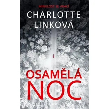 Osamělá noc - Charlotte Linková (2023,…