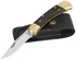kapesní nůž Buck Knives 110 Folding Hunter Knife 0110BRS-B