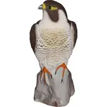 Sport plast Trojrozměrná maketa dravce - sokol stěhovavý 45 cm