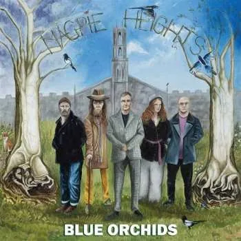 Zahraniční hudba CD Blue Orchids: Magpie Heights 2024