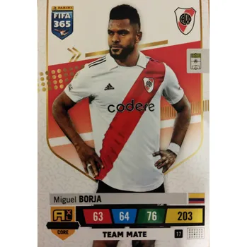 Sběratelská karetní hra Miguel Borja