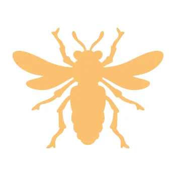 Samolepící dekorace SAMOLEPKA Moucha 006 (08 - béžová) NA AUTO, NÁLEPKA, FÓLIE, POLEP, TUNING, VLASTNÍ TEXT, TISK, AUTOSAMOLEPKY.cz, POLEPY, OBRÁZEK, LOGO, SAMOLEPKY