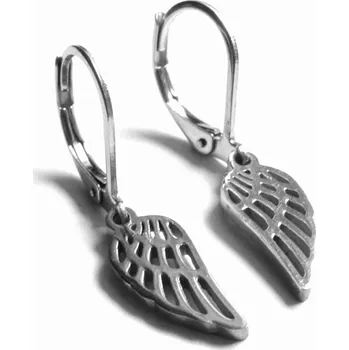 Náušnice Steel Jewelry Náušnice andělská křídla z chirurgické oceli NS140127 dárkové balení zdarma