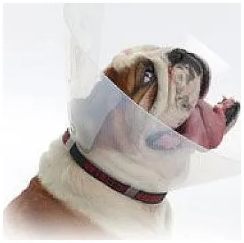 Ochranný límec pro zvířata Kruuse Límec ochranný BUSTER plastový E-Collar Brachy vel.L