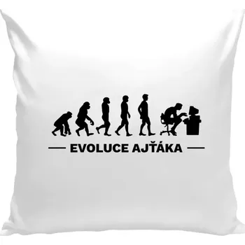 Polštář Polštář bílý 40x40 cm Evoluce - IT specialista