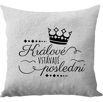 Polštář Polštář bílý 40x40 cm - dlouhý chlup Králové vstávají poslední