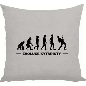 Polštář Polštář lněný 40x40 cm Evoluce - kytarista