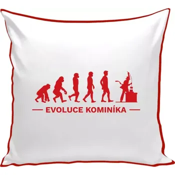 Polštář Polštář barevný 32x32 cm Evoluce - kominík