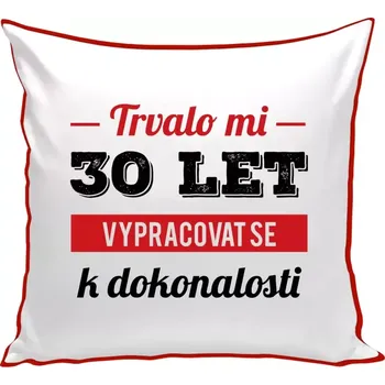 Polštář Polštář barevný 32x32 cm Trvalo mi x let vypracovat se k dokonalosti