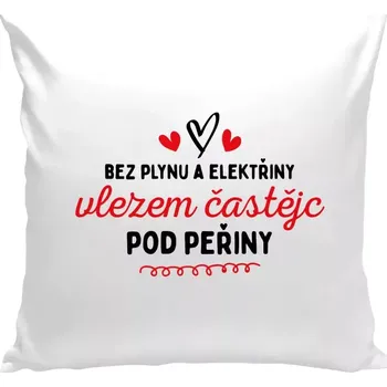 Polštář Polštář bílý 40x40 cm Bez plynu a elektřiny, vlezem častějc pod peřiny
