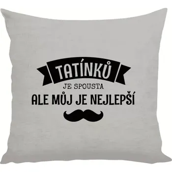 Polštář Polštář lněný 40x40 cm Tatínků je spousta, ale můj je nejlepší