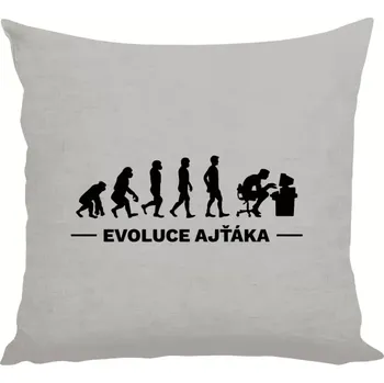 Polštář Polštář lněný 40x40 cm Evoluce - IT specialista