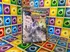 Příslušenství ke karetním hrám Ultra PRO Pokémon 2116067 Paldea Evolved A5 album